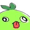 mokoderp