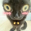 TTE_Blush