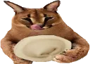 floppa_pelmeni