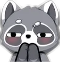 raccoon_sus