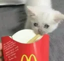 kittyfries
