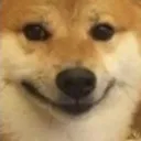 dogesmile