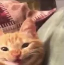 hehehehe hehehehe