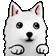dogespin dogespin