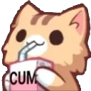 cum_cat