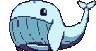 whale whale