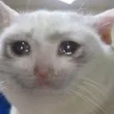 crying_cat