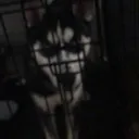 emoji_5