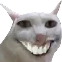 SusCat