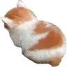 NoTalkTooAngy