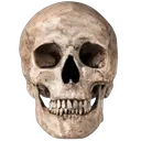 SkullCheese