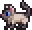 Siamese_Cat