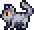 Silver_Cat