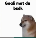 dog_gali_mtde Discord emoji