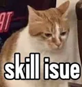 skillissue skillissue