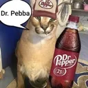 drpebba drpebba