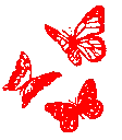 b5_butterflies