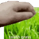 TouchGrass