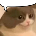 nothotsjustvibes