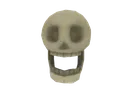 marioskull
