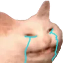 catcry