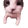 catKiss