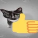 CatThumbsUp