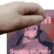 SoggyBurgerPet SoggyBurgerPet