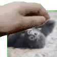 GreenMarioPet