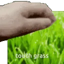 touchGrass