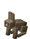 Rabbit_running