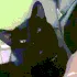 catsneeze catsneeze