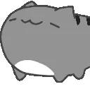 nodgray