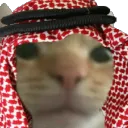 swagcat_india2 Discord Emoji