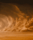 ZGC_Sandstorm Discord emoji