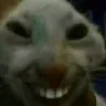 xdd