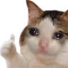 CatThumbsUp