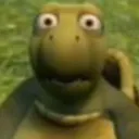 TurtleAppalled