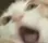 AAAAAAAAAA