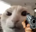 Catastrophe_CatGun