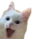 POG