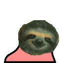 partyslothparrot