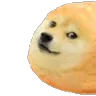 3856_doge_twinkie1