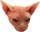 mald_cat mald_cat