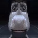 stare