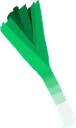 Leek Leek
