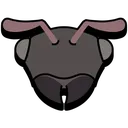 blackant