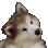 confusionFast Discord emoji