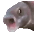 oooooo