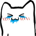 Ji_Cat_Laughing Ji_Cat_Laughing